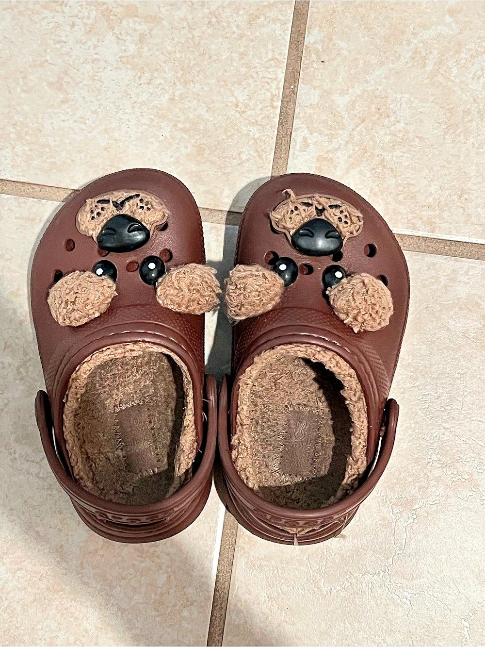 Crocs Classic Clog Brown Character Clogs